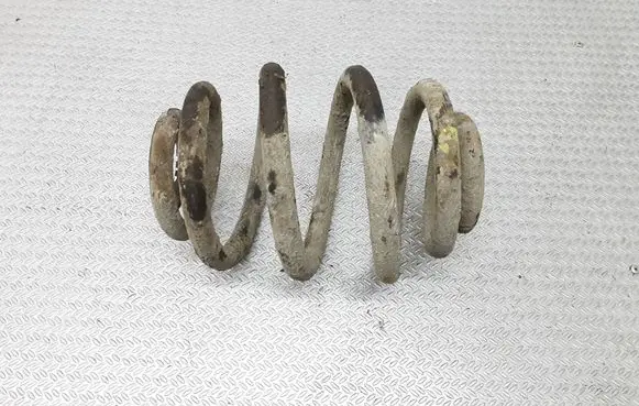 Volkswagen Sharan Rear coil spring