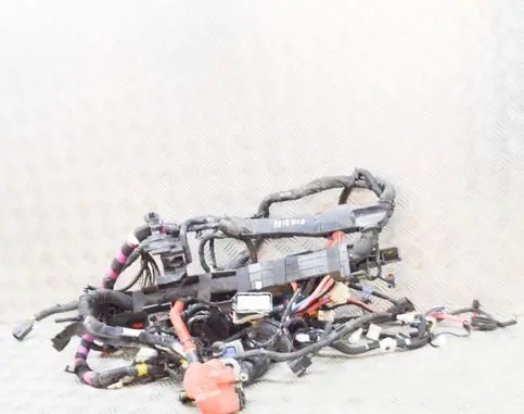 Tesla Model 3 Other wiring loom 256796407C