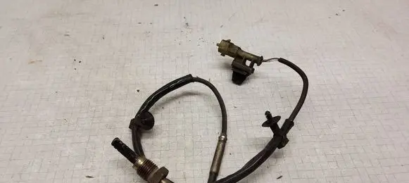 Opel Zafira B Exhaust gas temperature sensor 55562433