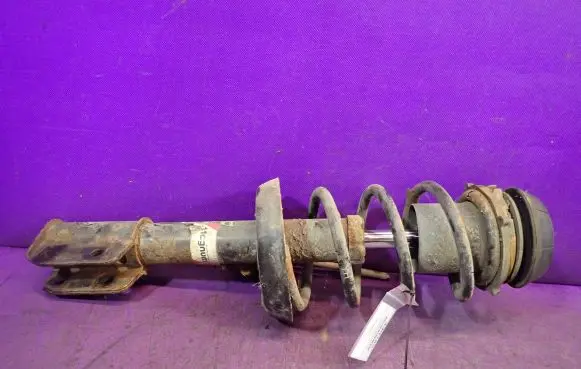 Opel Zafira A Front shock absorber with coil spring