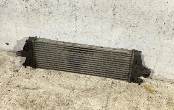 Renault Trafic II (X83) Intercooler radiator 8200411160c