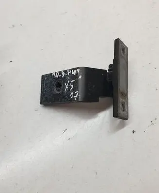 BMW X5 E70 Rear door lower hinge 7160826