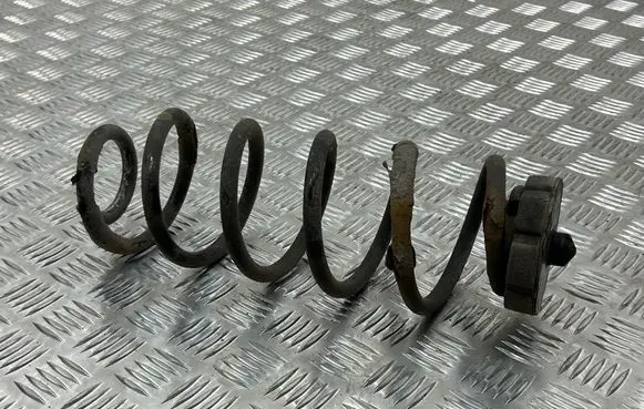 Rear coil spring