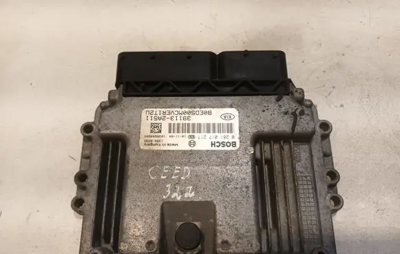 KIA Ceed Door control unit/module 391132A511 0281017217