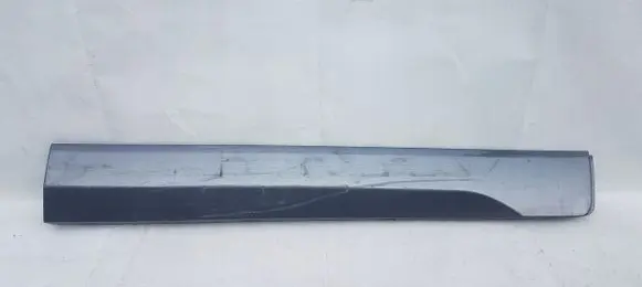Ford Ecosport Front door trim (molding)