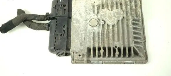 Engine control unit/module ECU