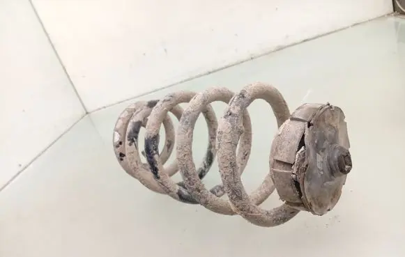 Rear coil spring