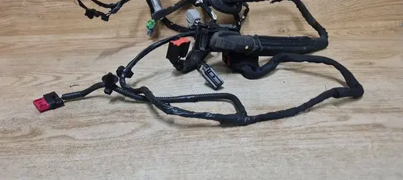 Front door wiring loom