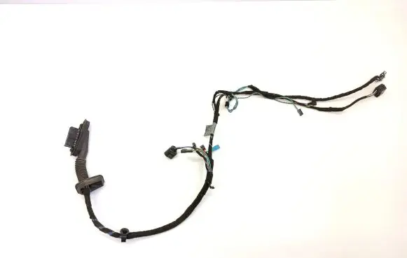 Front door wiring loom