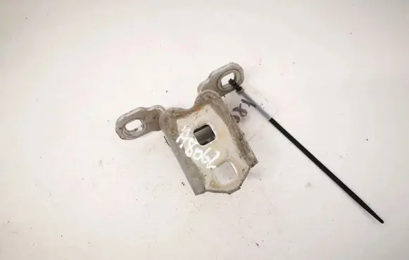 Rear door lower hinge