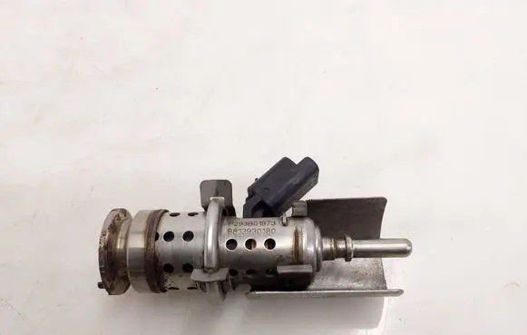 Citroen Berlingo AdBlue injector 9813930180 P293B01973
