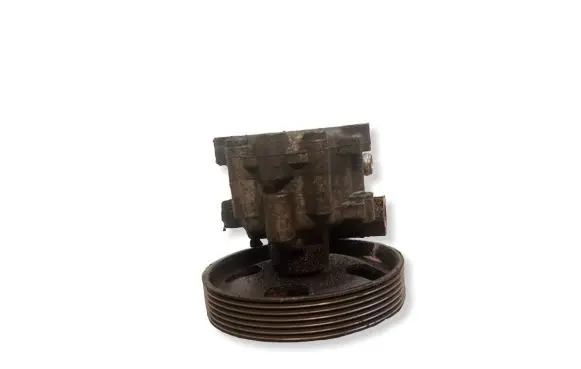 Peugeot 406 Power steering pump 7617955506
