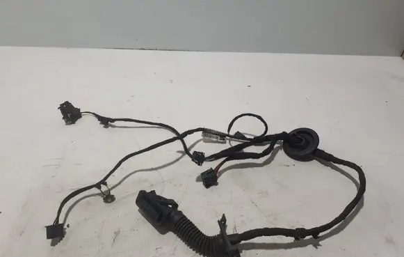 Cupra Formentor Other wiring loom 5FA971161H