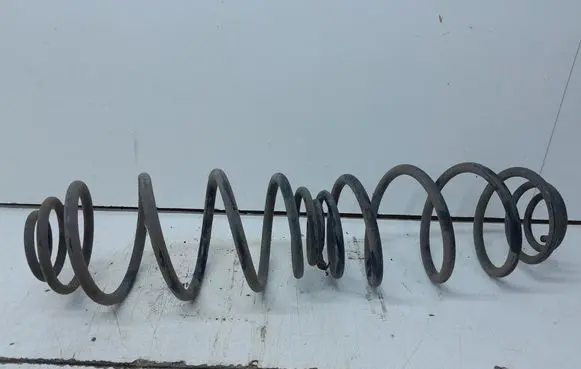 Rear coil spring
