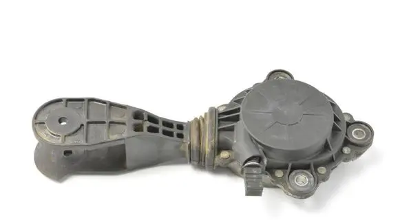 Peugeot 308 Timing belt/chain tensioner V75488488008