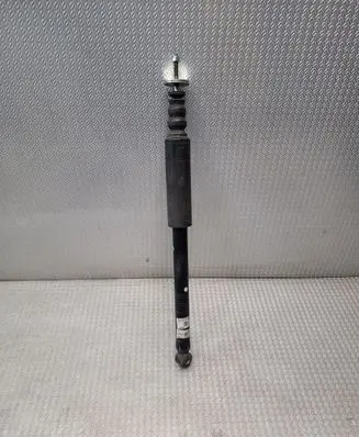 Dacia Spring Rear shock absorber/damper 562103041R