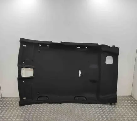 BMW X2 U10 Headlining 5A1F940