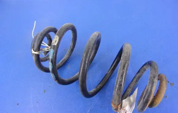 Volkswagen PASSAT B5 Rear coil spring