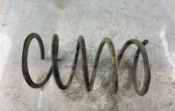 Front coil spring