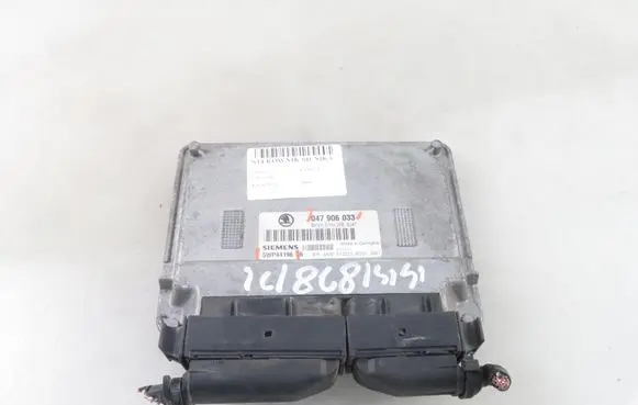 Skoda Fabia Mk1 (6Y) Engine control unit/module 5WP44196 047906033