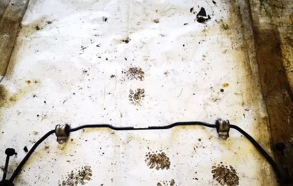Tesla Model 3 Rear anti-roll bar/sway bar 104448800A