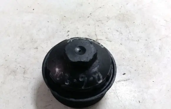Volkswagen PASSAT B6 Oil filter cover 