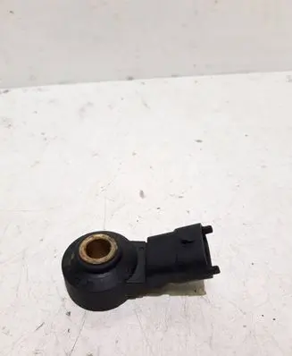 Porsche Cayenne (9PA) Detonation knock sensor 0261231173