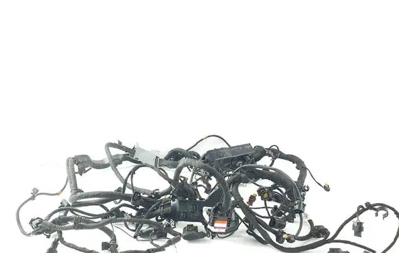 Porsche Panamera (971) Engine installation wiring loom 06M971595BB