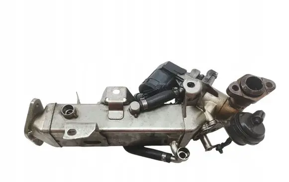 EGR valve