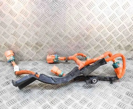 Other wiring loom