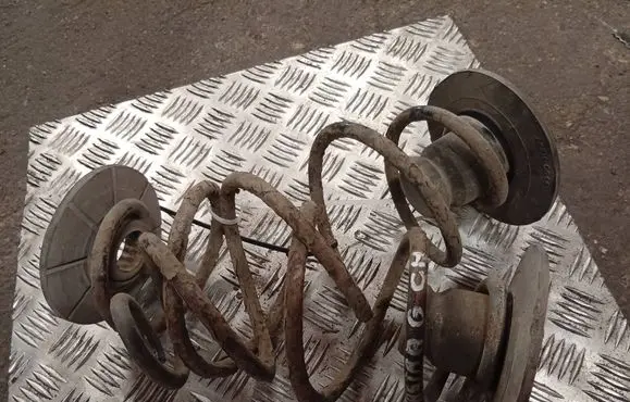 Rear coil spring