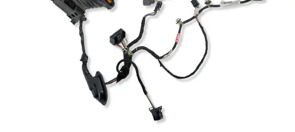 Volkswagen PASSAT B7 Rear door wiring loom 3AA971694CB