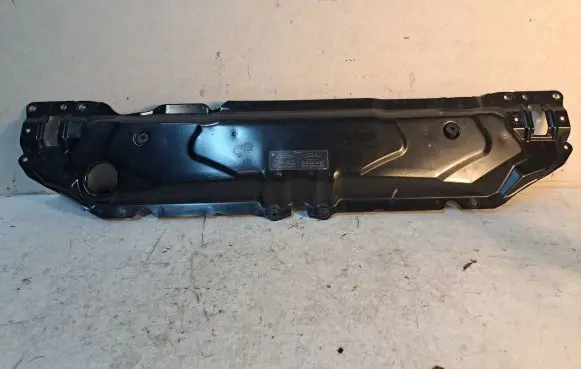 Engine bonnet/hood lock trim molding