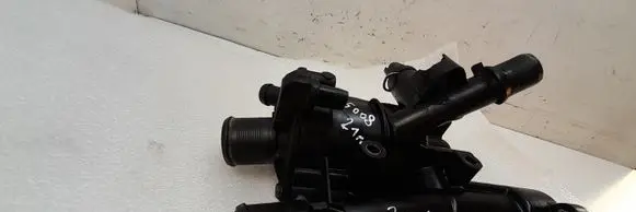 Thermostat/thermostat housing
