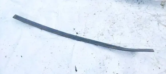 Front door trim (molding)
