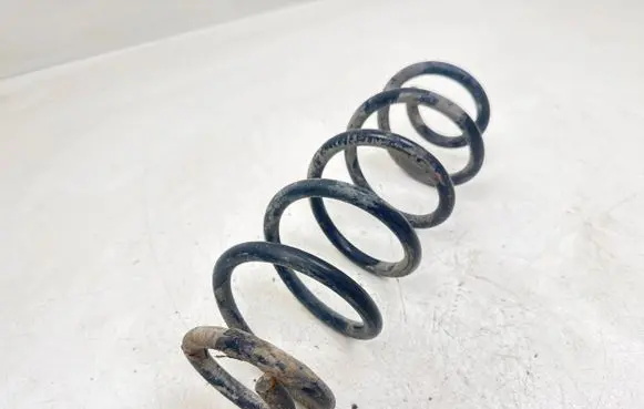 Opel Signum Rear coil spring