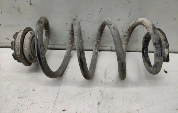 Nissan Qashqai Rear coil spring
