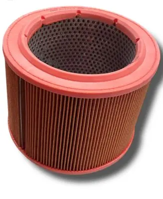 Citroen Berlingo Fuel filter D919 1444.G1