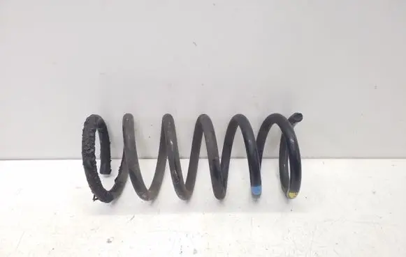 Chevrolet Captiva Rear coil spring