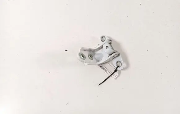 Hyundai Ioniq 5 Rear door lower hinge 793202E000
