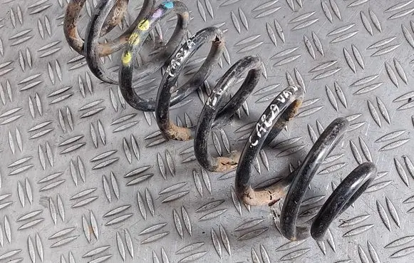 Volkswagen PASSAT B6 Rear coil spring