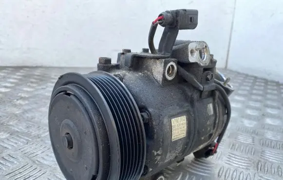 Volkswagen Cross Polo Air conditioning (A/C) compressor (pump) 6Q0820808G 4471502231 6SEU14C