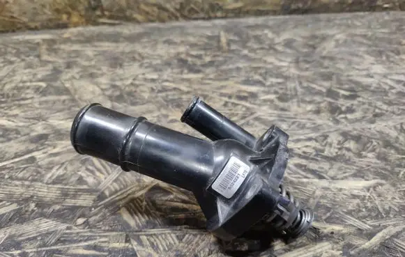 Thermostat/thermostat housing