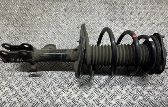 Lexus NX Front shock absorber with coil spring 1A16063BL