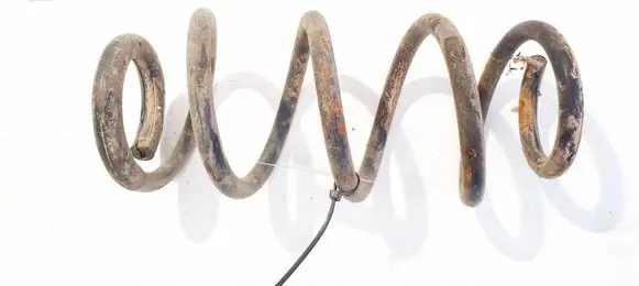 Rear coil spring