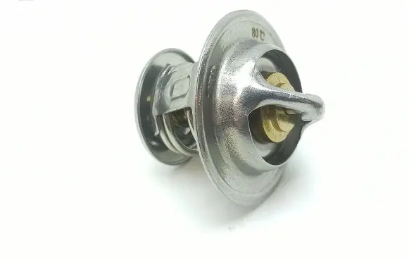 Ligier Ambra Thermostat 9195124 811200