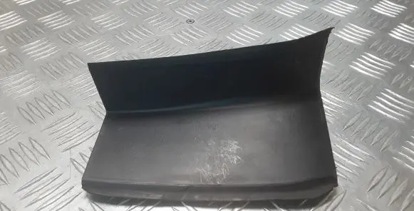 Rear/tail light trim molding