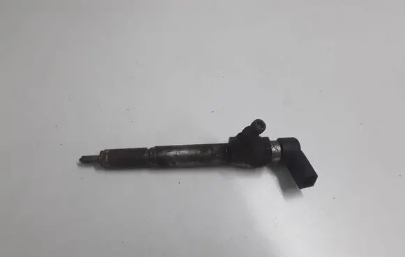 Nissan Qashqai Fuel injector H8200294788