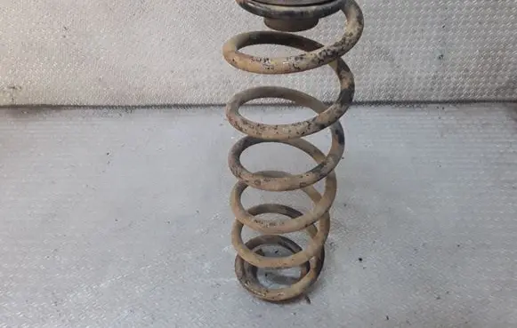 Rear coil spring