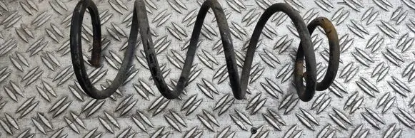 Rear coil spring